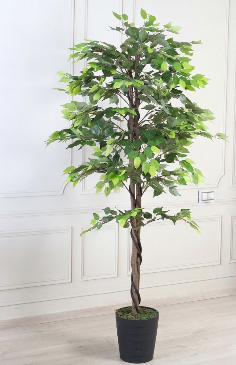 Ficus Artificial Plant Ficus Artificial Plant