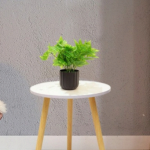 Money Plant