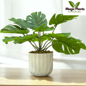 Artificial Small Plant with Pot