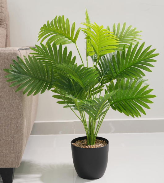 Top 10 Artificial Plants for Indian Homes (2026 Guide) areca plant