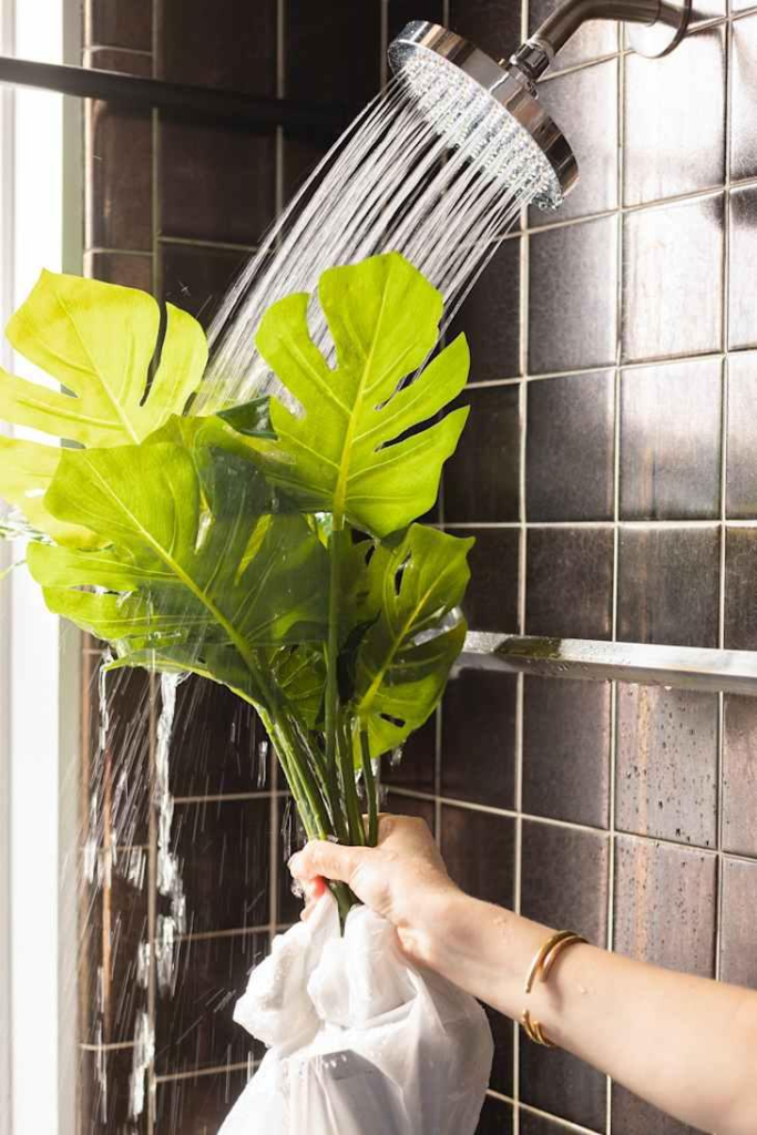 How to Clean and Maintain Artificial Plants at Home image