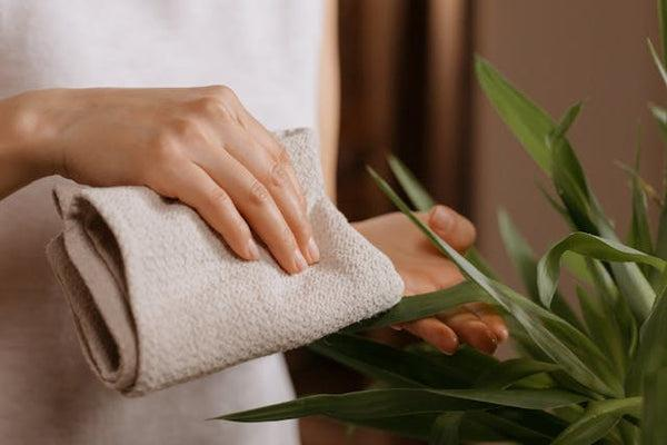 How to Clean and Maintain Artificial Plants at Home Remove Loose Dust