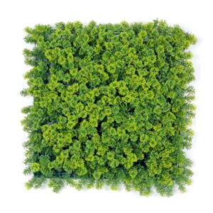 Reindeer Moss - Green