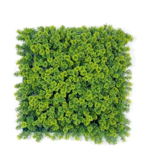 Reindeer Moss - Green Reindeer Moss - Green