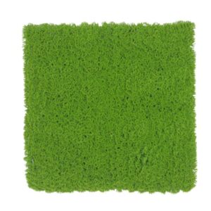 Green Moss