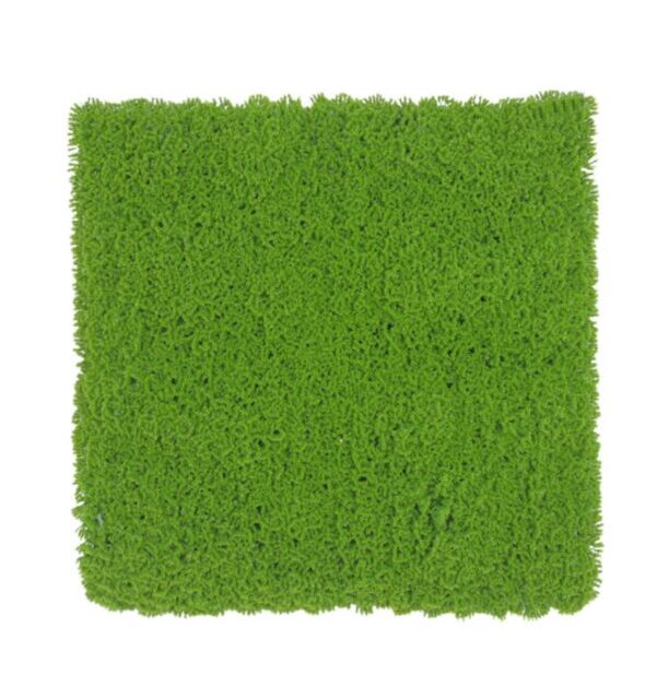 Green Moss Green Moss
