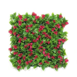 Hot Pink Bougainvillea